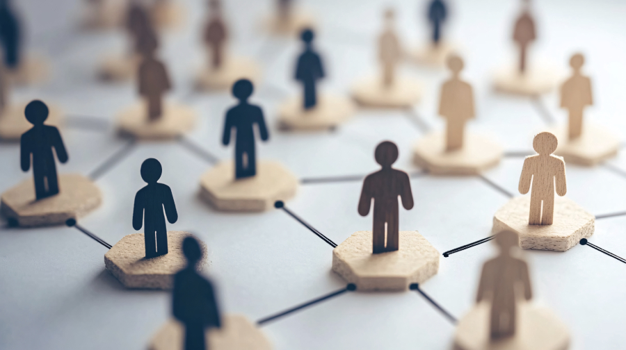 Holistic Organisational Effectiveness