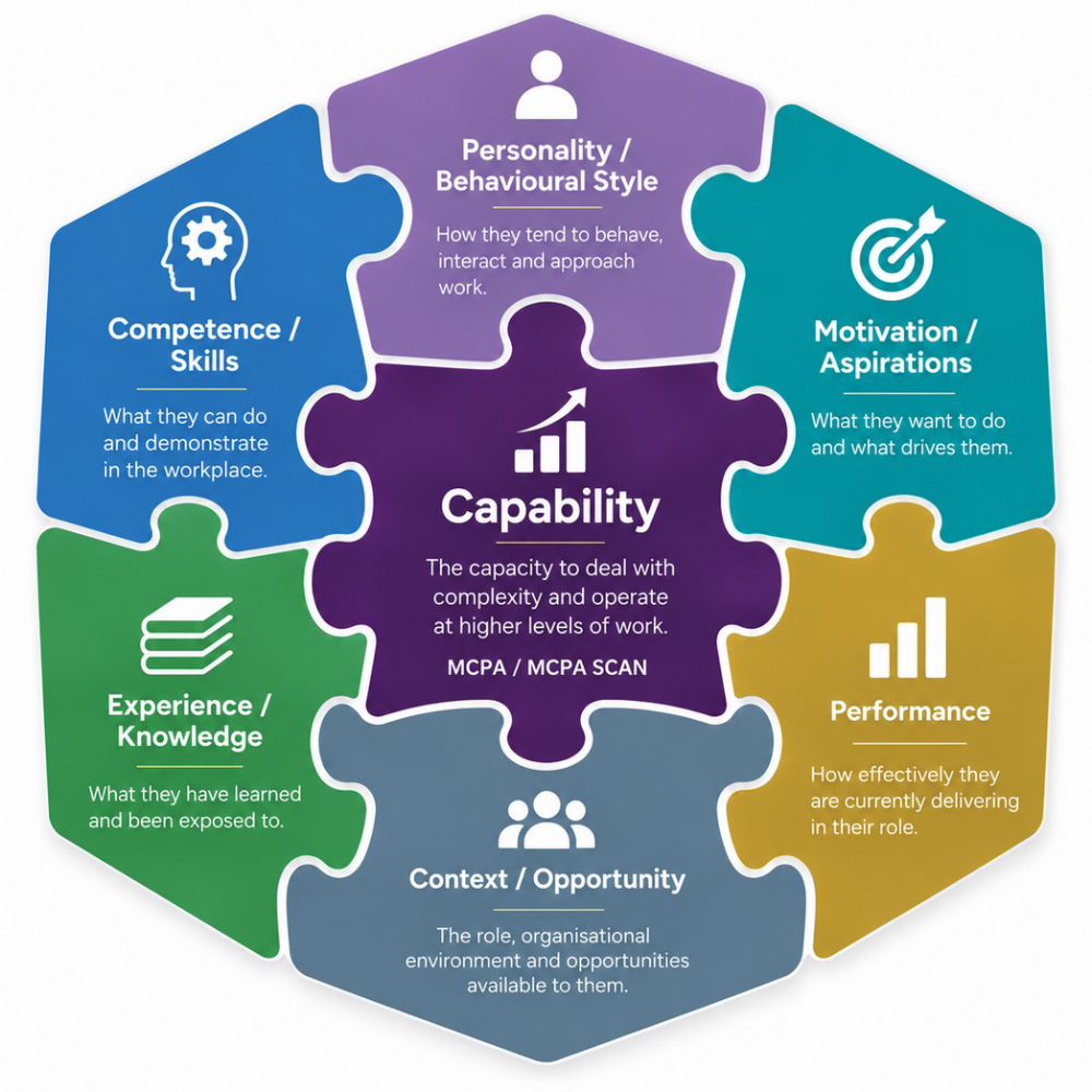 Understanding capability and where it fits in the talent picture